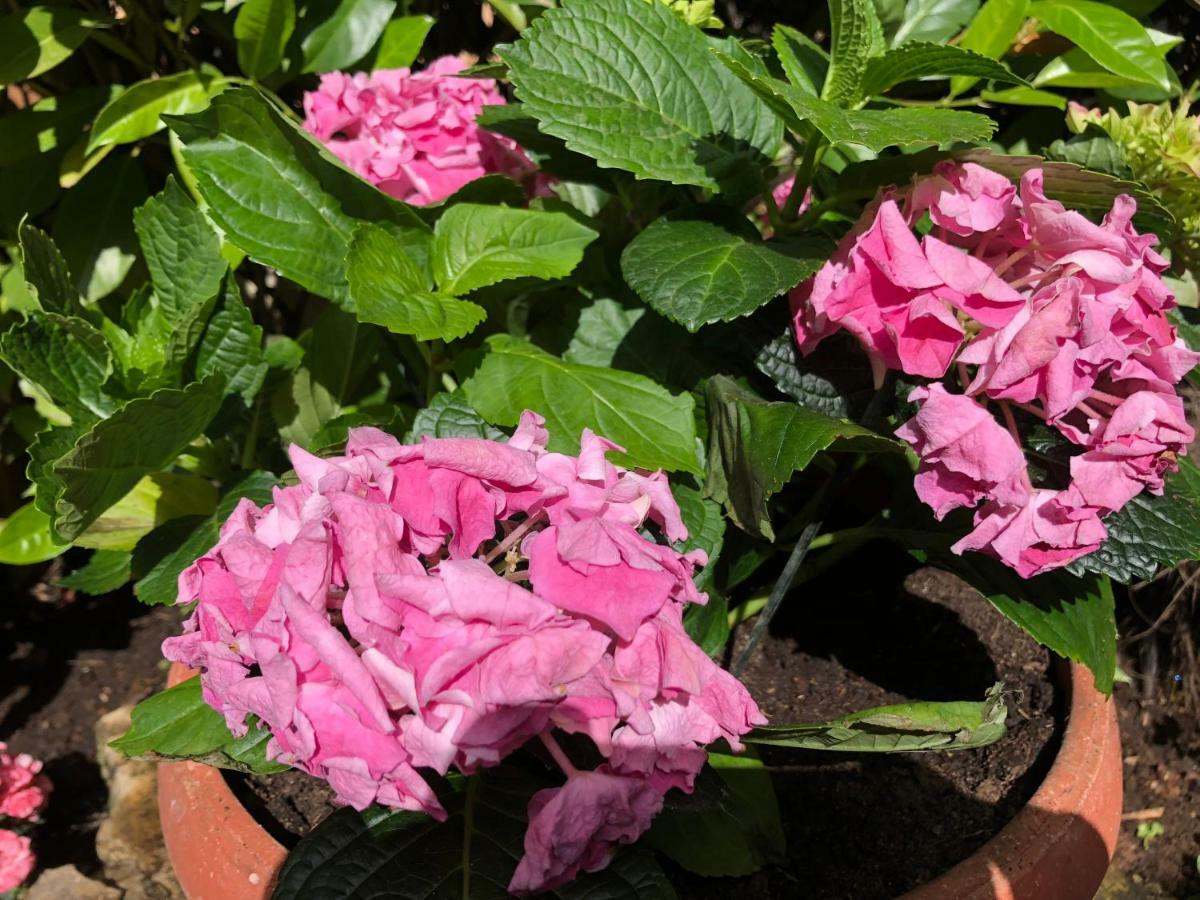 Apartment Garden Malinska Esterno foto